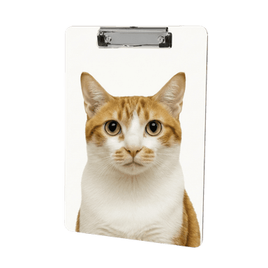 Clipboard